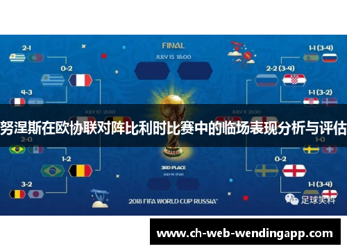 努涅斯在欧协联对阵比利时比赛中的临场表现分析与评估