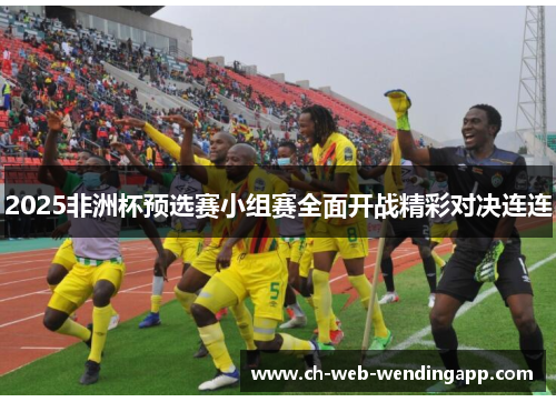 2025非洲杯预选赛小组赛全面开战精彩对决连连